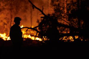 שריפת יערות באוסטרליה